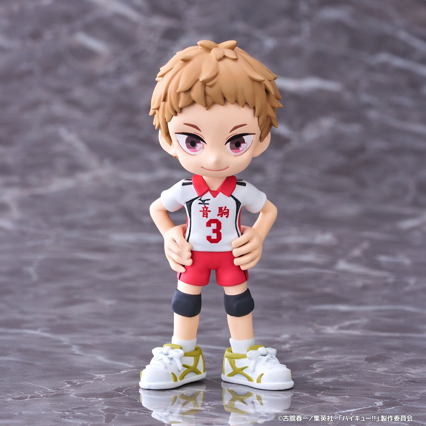 [PalVerse] Haikyu!! PRE-ORDER